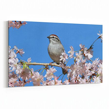 Olla 10902Y Ağaç Görseli Yatay Kanvas Tablo (Ölçü: 150X100)