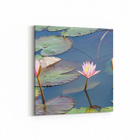 Olla 14457K Doğa / Manzara Görseli Kare Kanvas Tablo (Ölçü: 30X30)