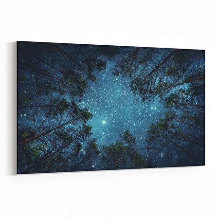 Olla 14798Y Gece Gökyüzü Görseli Yatay Kanvas Tablo (Ölçü: 45X30)
