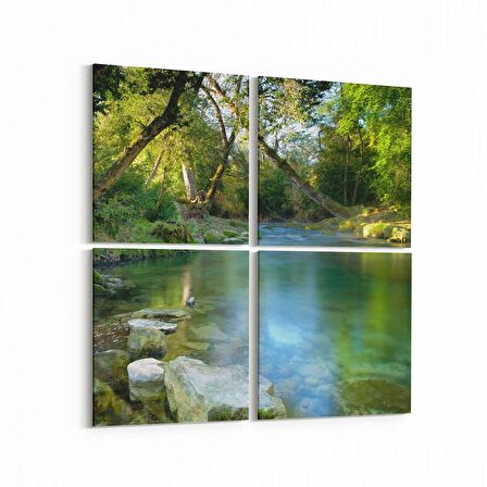 Olla 14611K4 Doğa / Manzara Görseli Kare 4'lü Kanvas Tablo (Ölçü: 125X125)