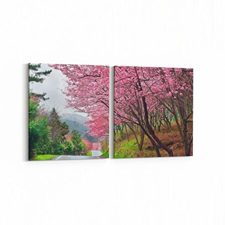 Olla 13692K2Y Doğa / Manzara Görseli Kare 2'li Yatay Kanvas Tablo (Ölçü: 85X40)
