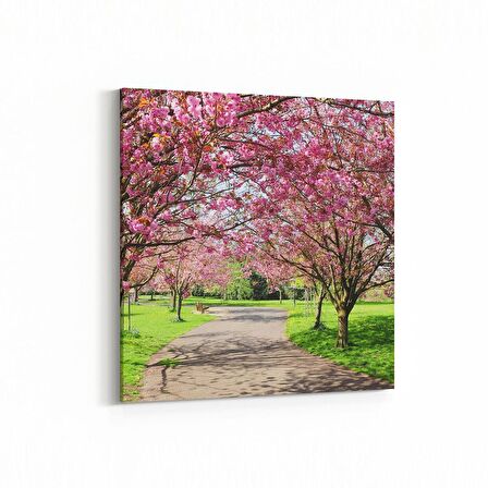 Olla 13550K Doğa / Manzara Görseli Kare Kanvas Tablo (Ölçü: 25X25)