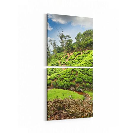 Olla 14544K2D Doğa / Manzara Görseli Kare 2'li Dikey Kanvas Tablo (Ölçü: 30X65)