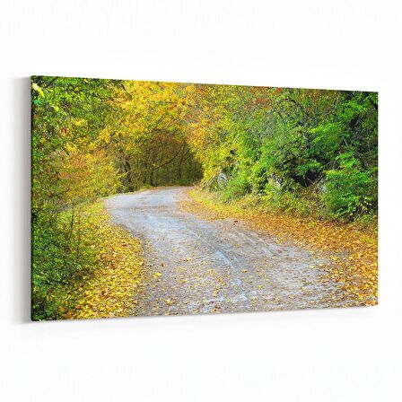 Olla 13224Y Doğa / Manzara Görseli Yatay Kanvas Tablo (Ölçü: 150X100)