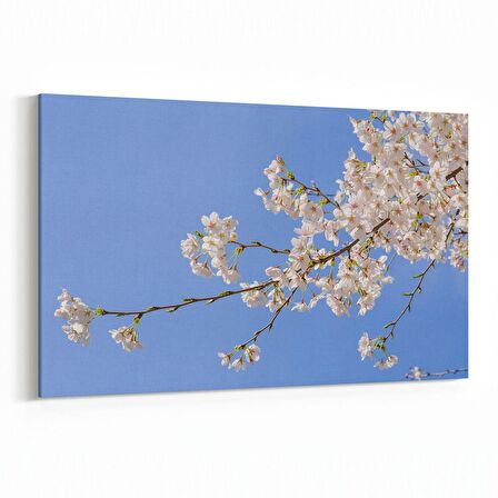 Olla 10670Y Ağaç Görseli Yatay Kanvas Tablo (Ölçü: 30X20)