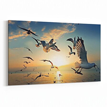 Olla 12485Y Hayvanlar Alemi Görseli Yatay Kanvas Tablo (Ölçü: 45X30)