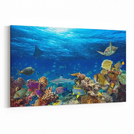 Olla 12160Y Akvaryum / Balık Görseli Yatay Kanvas Tablo (Ölçü: 90X60)