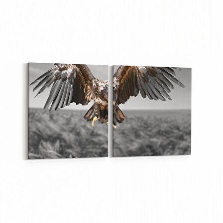 Olla 12566K2Y Hayvanlar Alemi Görseli Kare 2'li Yatay Kanvas Tablo (Ölçü: 125X60)