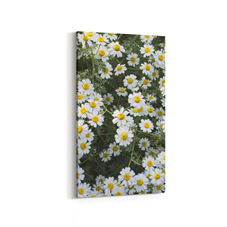 Olla 11611DD Çiçek Görseli Dikey Dar Kanvas Tablo (Ölçü: 40X80)