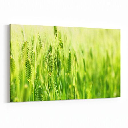 Olla 14507Y Doğa / Manzara Görseli Yatay Kanvas Tablo (Ölçü: 90X60)