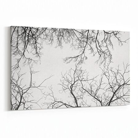 Olla 10525Y Ağaç Görseli Yatay Kanvas Tablo (Ölçü: 120X80)