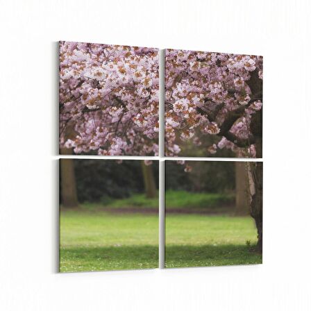 Olla 13444K4 Doğa / Manzara Görseli Kare 4'lü Kanvas Tablo (Ölçü: 125X125)