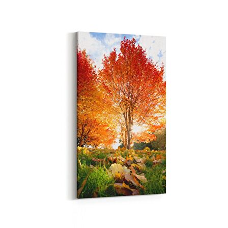 Olla 14247DD Doğa / Manzara Görseli Dikey Dar Kanvas Tablo (Ölçü: 30X60)