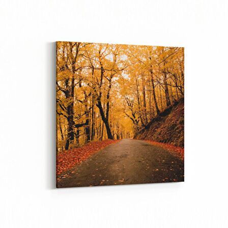 Olla 14330K Doğa / Manzara Görseli Kare Kanvas Tablo (Ölçü: 25X25)