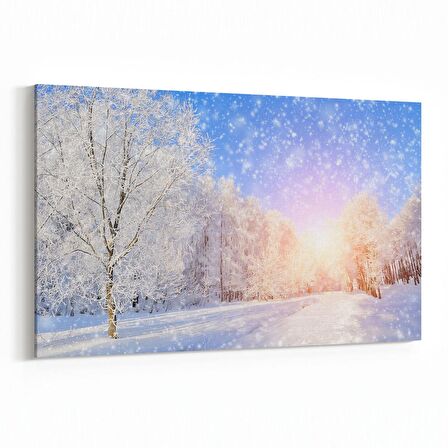 Olla 13372Y Doğa / Manzara Görseli Yatay Kanvas Tablo (Ölçü: 45X30)