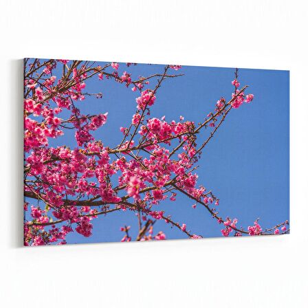 Olla 10814Y Ağaç Görseli Yatay Kanvas Tablo (Ölçü: 45X30)