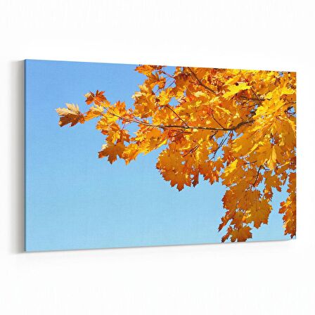 Olla 10804Y Ağaç Görseli Yatay Kanvas Tablo (Ölçü: 90X60)