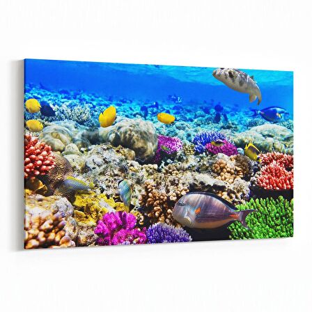 Olla 12072Y Akvaryum / Balık Görseli Yatay Kanvas Tablo (Ölçü: 30X20)