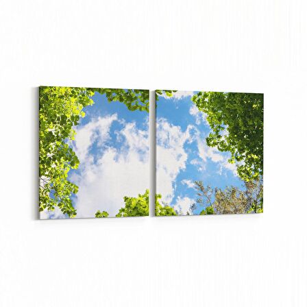 Olla 10872K2Y Ağaç Görseli Kare 2'li Yatay Kanvas Tablo (Ölçü: 85X40)