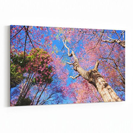 Olla 11047Y Ağaç Görseli Yatay Kanvas Tablo (Ölçü: 150X100)