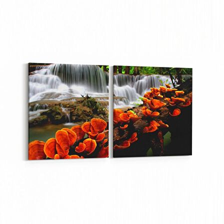 Olla 14367K2Y Doğa / Manzara Görseli Kare 2'li Yatay Kanvas Tablo (Ölçü: 145X70)