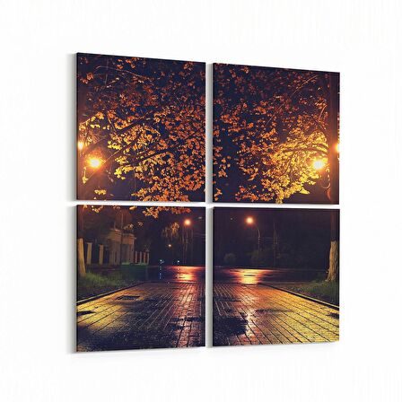 Olla 13843K4 Doğa / Manzara Görseli Kare 4'lü Kanvas Tablo (Ölçü: 125X125)