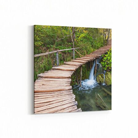 Olla 14166K Doğa / Manzara Görseli Kare Kanvas Tablo (Ölçü: 25X25)