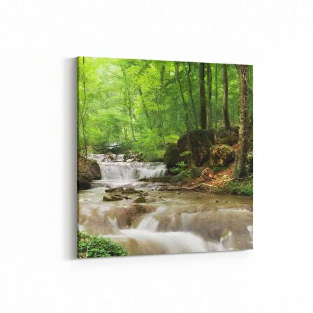 Olla 14550K Doğa / Manzara Görseli Kare Kanvas Tablo (Ölçü: 25X25)