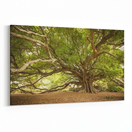 Olla 14268Y Doğa / Manzara Görseli Yatay Kanvas Tablo (Ölçü: 45X30)