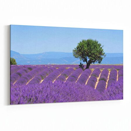 Olla 13582Y Doğa / Manzara Görseli Yatay Kanvas Tablo (Ölçü: 30X20)