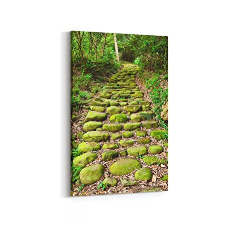 Olla 14169D Doğa / Manzara Görseli Dikey Kanvas Tablo (Ölçü: 70X105)