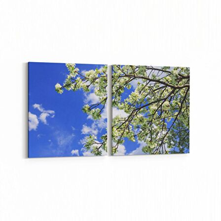 Olla 10679K2Y Ağaç Görseli Kare 2'li Yatay Kanvas Tablo (Ölçü: 145X70)