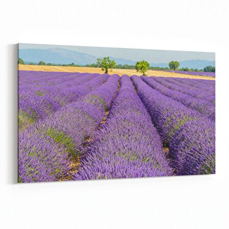 Olla 14110Y Doğa / Manzara Görseli Yatay Kanvas Tablo (Ölçü: 90X60)