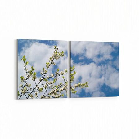 Olla 10669K2Y Ağaç Görseli Kare 2'li Yatay Kanvas Tablo (Ölçü: 65X30)
