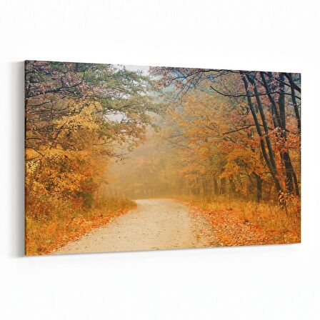 Olla 14094Y Doğa / Manzara Görseli Yatay Kanvas Tablo (Ölçü: 70X50)