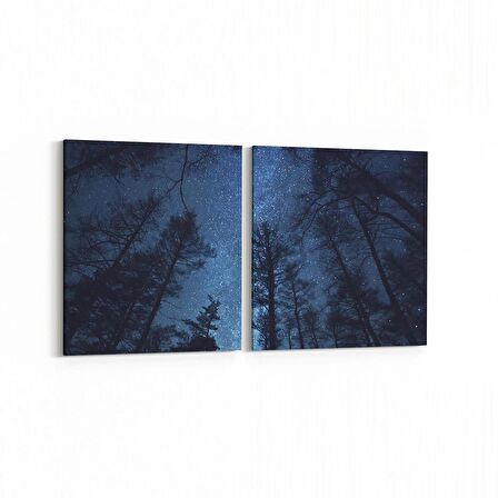 Olla 14678K2Y Gece Gökyüzü Görseli Kare 2'li Yatay Kanvas Tablo (Ölçü: 65X30)