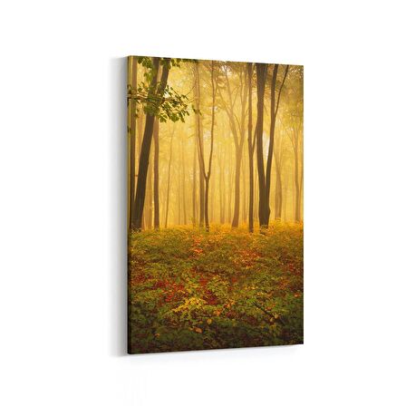 Olla 13374D Doğa / Manzara Görseli Dikey Kanvas Tablo (Ölçü: 100X150)