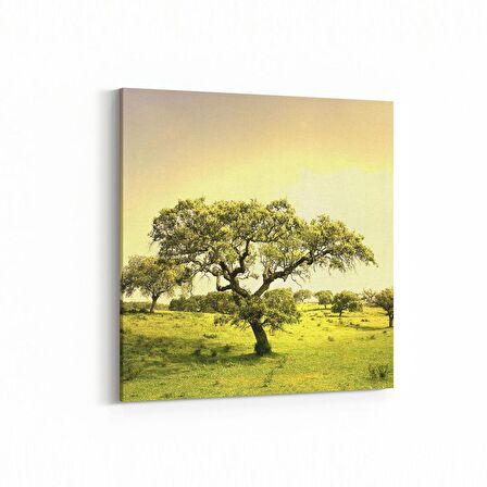 Olla 13888K Doğa / Manzara Görseli Kare Kanvas Tablo (Ölçü: 25X25)