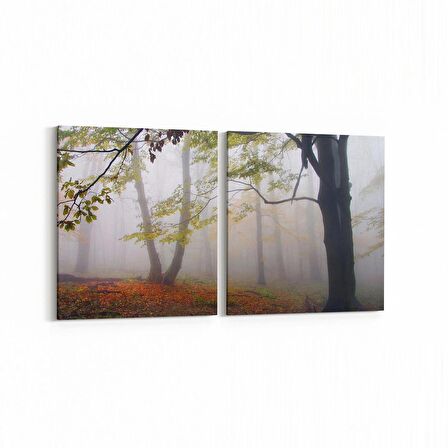 Olla 14134K2Y Doğa / Manzara Görseli Kare 2'li Yatay Kanvas Tablo (Ölçü: 145X70)