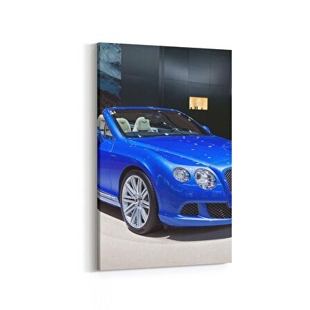 Olla 12240D Araç Görseli Dikey Kanvas Tablo (Ölçü: 100X150)