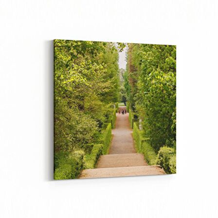 Olla 13757K Doğa / Manzara Görseli Kare Kanvas Tablo (Ölçü: 25X25)