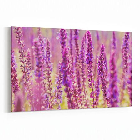 Olla 11578Y Çiçek Görseli Yatay Kanvas Tablo (Ölçü: 30X20)