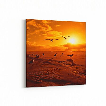 Olla 15949K Günbatımı Görseli Kare Kanvas Tablo (Ölçü: 25X25)