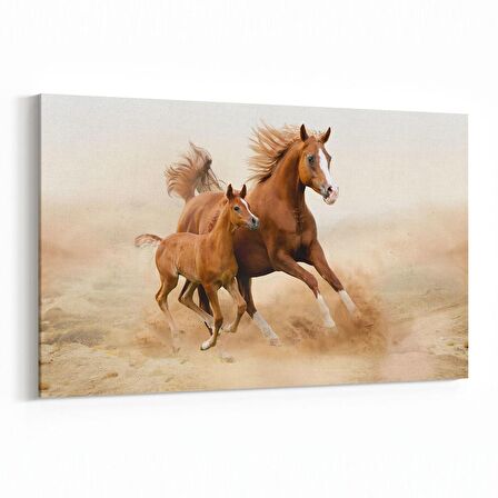 Olla 12532Y Hayvanlar Alemi Görseli Yatay Kanvas Tablo (Ölçü: 70X50)