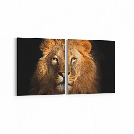 Olla 12634K2Y Hayvanlar Alemi Görseli Kare 2'li Yatay Kanvas Tablo (Ölçü: 125X60)