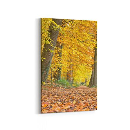 Olla 13540D Doğa / Manzara Görseli Dikey Kanvas Tablo (Ölçü: 100X150)