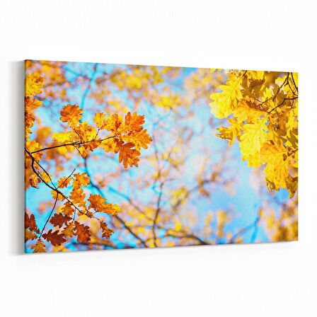 Olla 10973Y Ağaç Görseli Yatay Kanvas Tablo (Ölçü: 90X60)