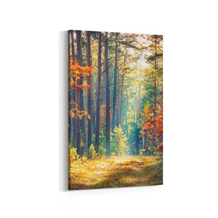 Olla 14508D Doğa / Manzara Görseli Dikey Kanvas Tablo (Ölçü: 70X105)