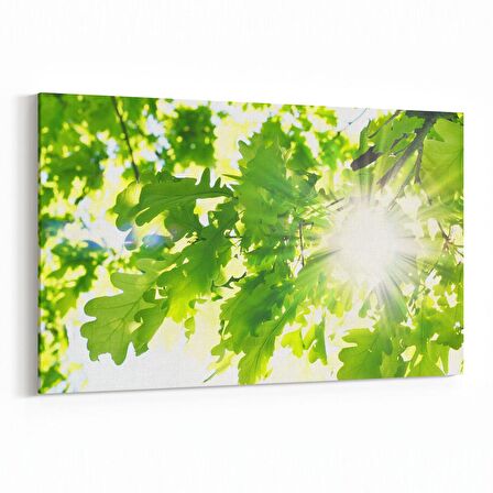 Olla 10568Y Ağaç Görseli Yatay Kanvas Tablo (Ölçü: 150X100)