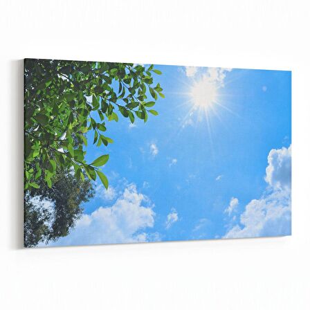 Olla 10842Y Ağaç Görseli Yatay Kanvas Tablo (Ölçü: 70X50)